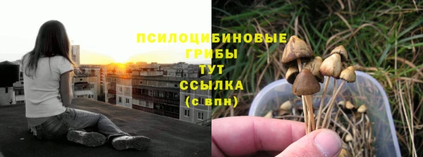 mix Снежногорск