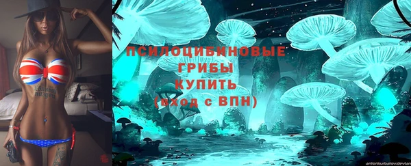 mix Снежногорск